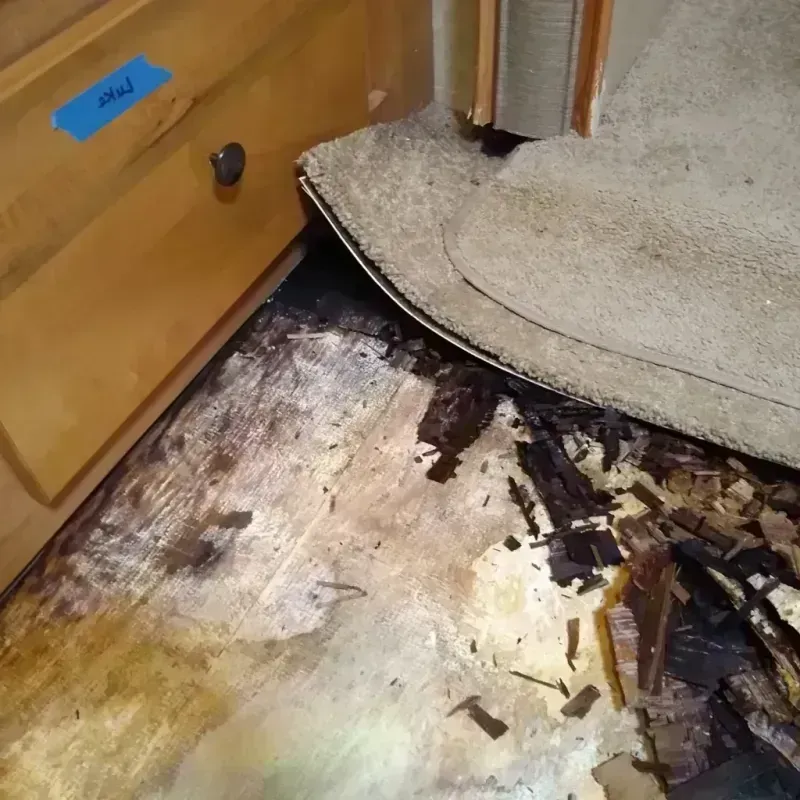 Wood Floor Water Damage in Finney County, KS